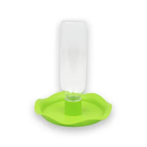 Abreuvoir tortue verte