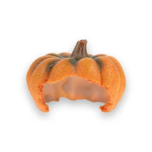 Abri tortue citrouille