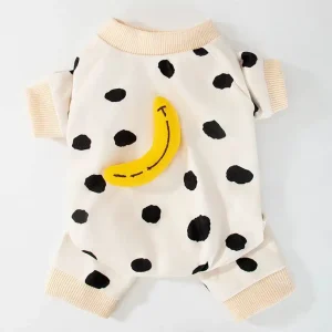 Pull chihuahua beige banane