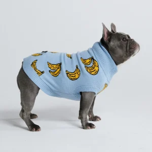 Pull pour chien en tricot - Banane