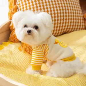 Pull canard avec crochet petit chien