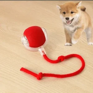 Balle roulante intelligente pour chien