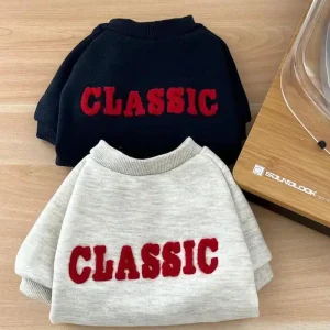 Sweat classic spitz