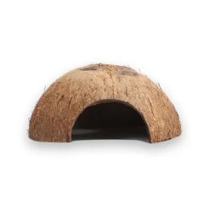 Abri tortue noix de coco