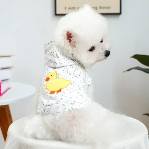 Pull à capuche poussin pour petit chien