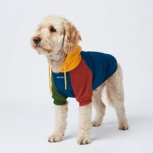 Pull à Capuche Pour Chien - Couleurs Primaires