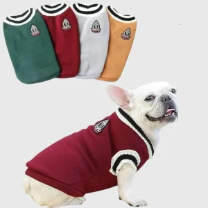 Gilet style collégien bouledogue