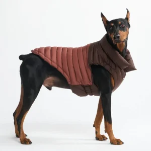 Veste d'hiver PuffShield
