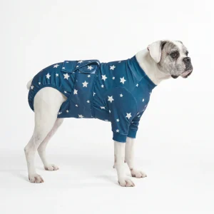 Body Post-Opératoire pour Chien - Étoiles