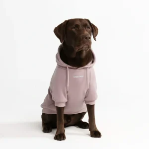 Pull à Capuche Essentiel Pour Chien - Taupe Violet