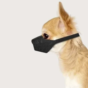 Muselière pour chihuahua