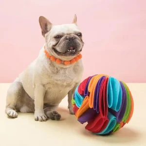Balle de fouille chien
