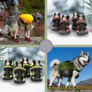 Bottes pour chien | Bootsy™