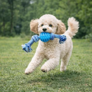 Balle avec corde bleu pour chien