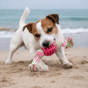 Balle avec corde rose pour chien