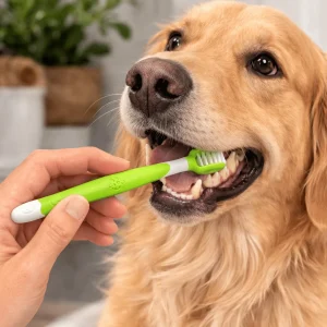Double Brosse à dents
