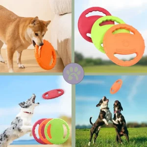 Disque volant pour chien | Pitch-It™