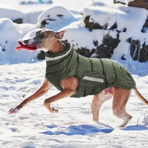 Doudou Chien Hiver Chaud Imperméable et Confortable
