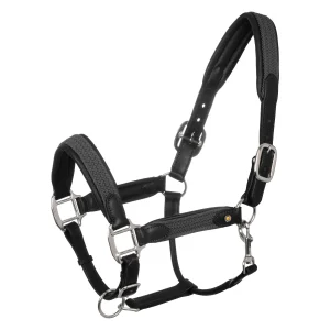 Licol en cuir et nylon tressé Noir et Gris - EQUESTRO
