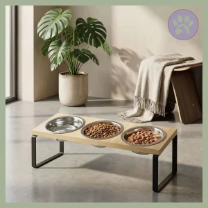 Gamelle chat | Station Buffet™