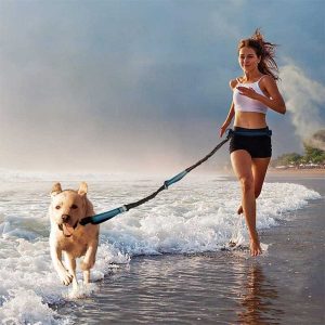 Laisse main libre chien | Handslibre™