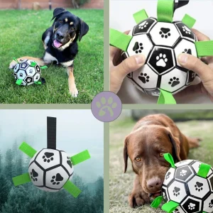 Jouet pour chien | Ball-Pull™