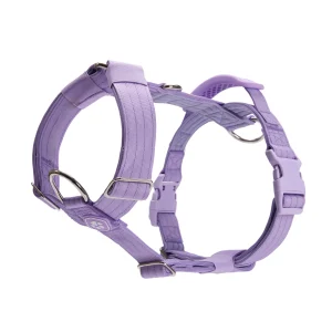 Harnais Big Dog No-Pull - Lilas