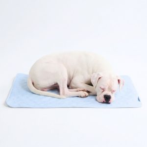 Tapis rafraîchissant Frostcore™ - Bleu à cœurs