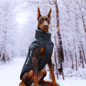 Manteau pour Grand Chien – Imperméable et Stylé