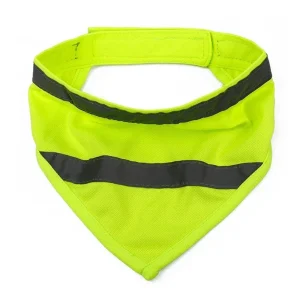 Bandana rafraichissant chien