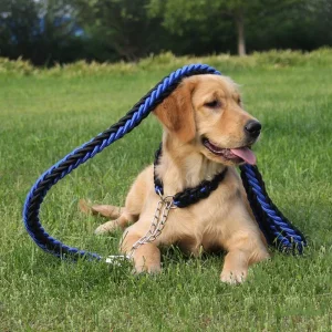 Laisse pour chien | RockCorde™