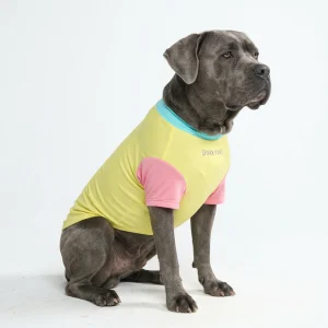 T-shirt anti-UV - Yuzu