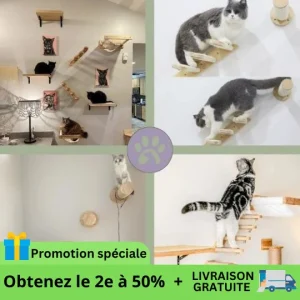 Accessoires d'escalade pour chat | Climbing-Cat-Air™