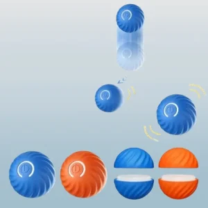 Balle rebondissante chien