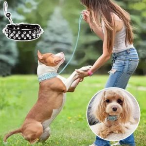 Collier Chien | Punk-Rock™