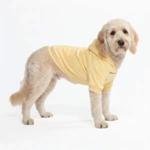 Pull à Capuche Essentiel Pour Chien - Crème au Beurre