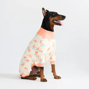 Pyjama pour chien - Pêches