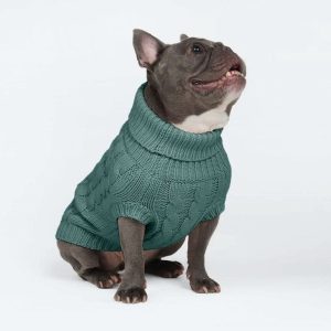 Pull en tricot pour chien
