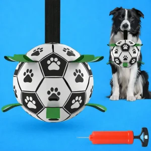 Ballon avec anse pour chien