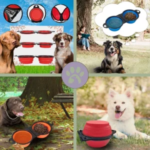 Gamelle de voyage double pour chien | Double-Travel-Bowl™